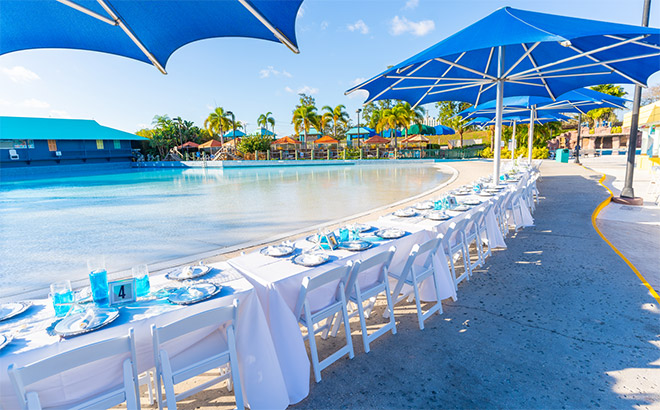 Dinner reception at Adventure Island