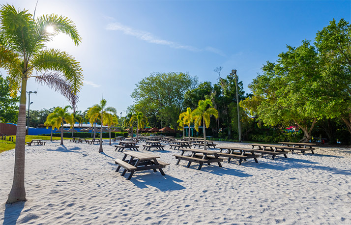 Group event picnic on the Adventure Island beach