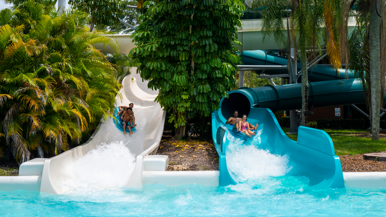 Two water slides at Adventure Island
