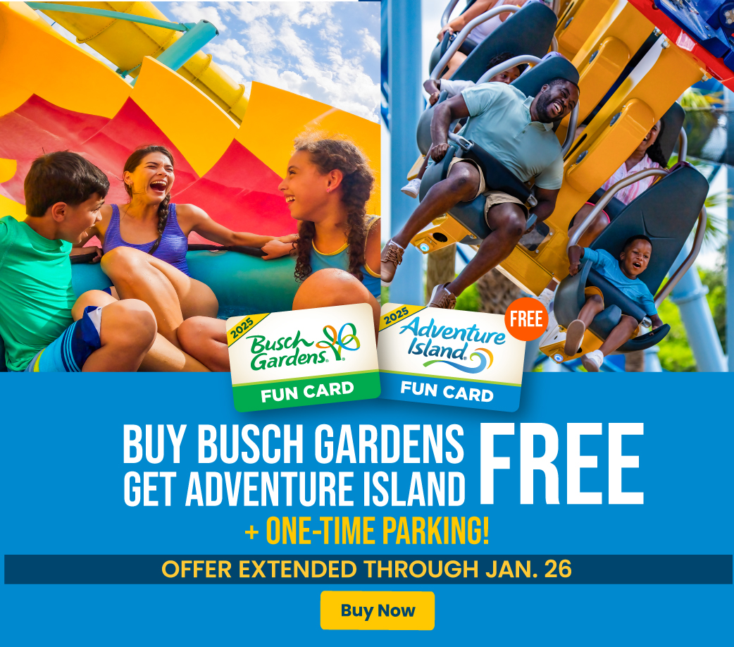 Florida Water Park &amp; Rides | Adventure Island Tampa Bay