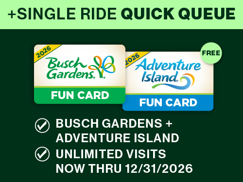 Single Ride Quick Queue