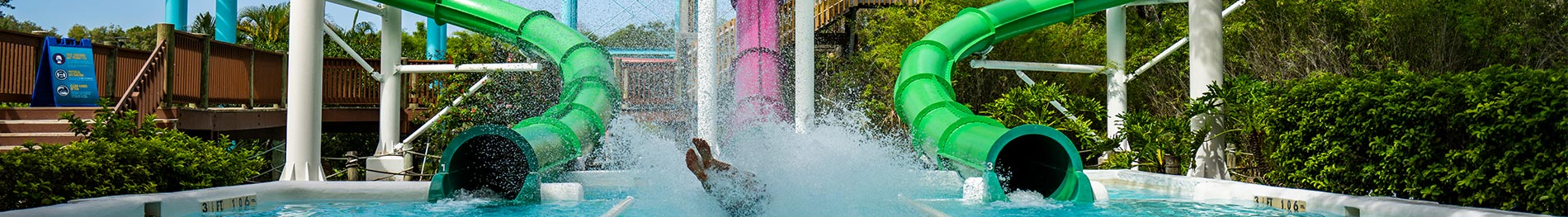 Water Moccasin at Adventure Island Tampa Bay.