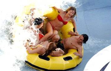Wahoo Run Adventure Island Tampa Bay