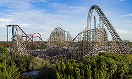 Roller Coasters at Busch Gardens Tampa Bay