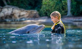 Swim with a dolphin at Discovery Cove Orlando