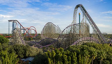 Roller Coasters at Busch Gardens Tampa Bay